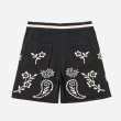 画像2: PROFOUND / knitted paisley shorts (2)