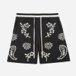 画像1: PROFOUND / knitted paisley shorts (1)